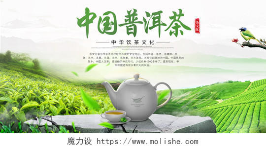 中国普洱茶宣传展板茶叶海报设计